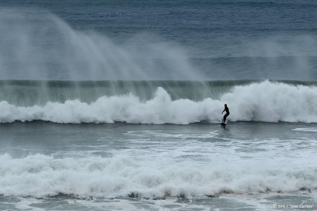 Surfer (60) komt om na aanval haai voor oostkust Australië