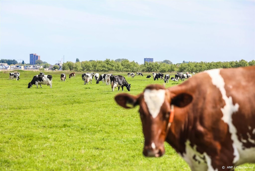 Gezamenlijk plan GroenLinks en VVD voor duurzamere pacht boeren