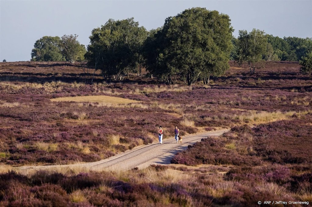 Brandweer start verkenningsvluchten tegen natuurbranden Veluwe