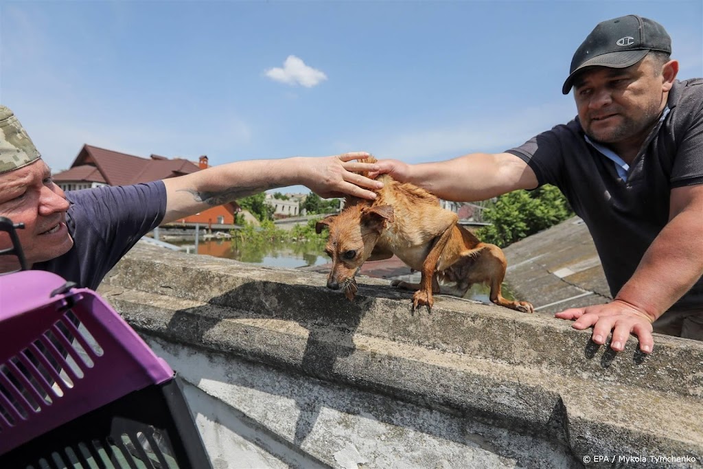 Moskou en Kyiv beschuldigen elkaar van opblazen ammoniakpijplijn