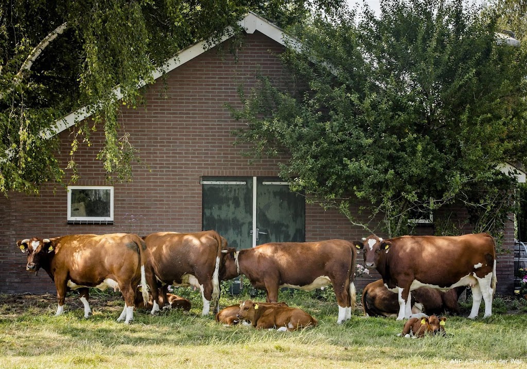 NVWA gaat extra letten op gevolgen hitte voor dieren