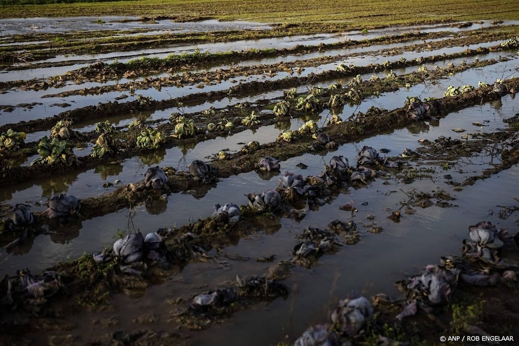 Ruim een kwart boeren en telers denkt dat teeltseizoen nog te redden is