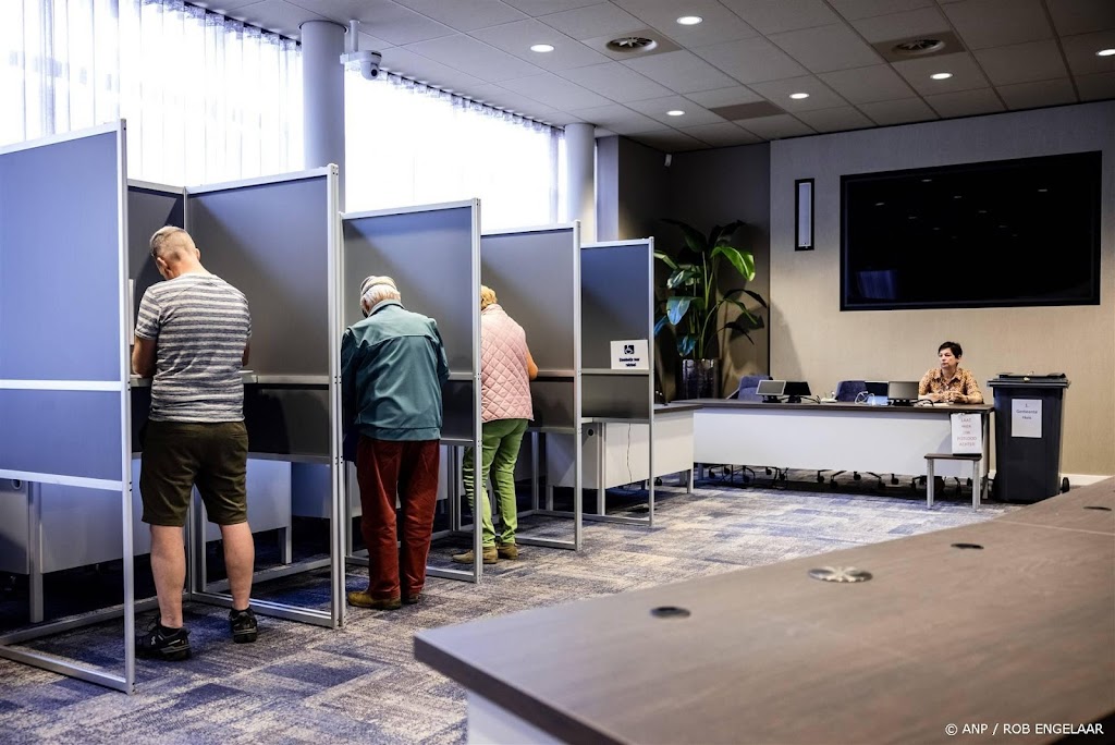 Formatie overschaduwde EU-campagne, vinden campagneleiders