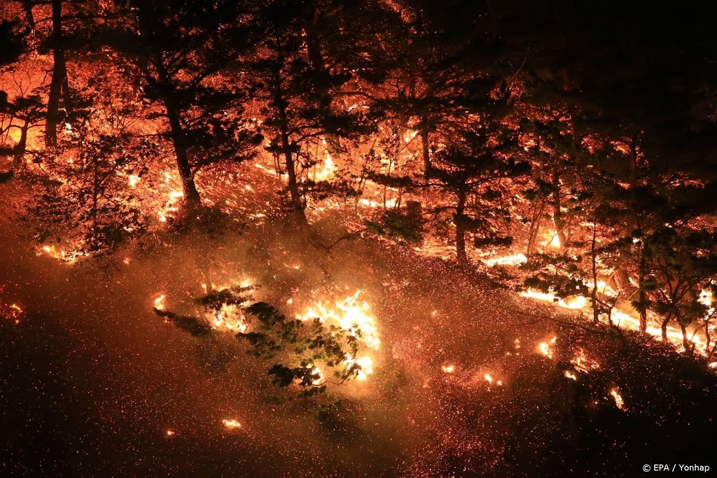 Minstens vijf doden bij bosbrand Oost-Oekraïne