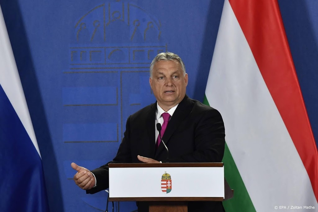 Hongaarse Europarlementariër sneert naar Rutte om aanval De Vries