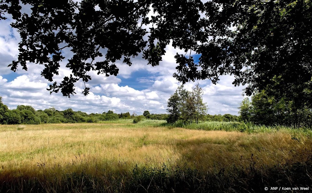 Natuurmonumenten: val kabinet is geen goed nieuws voor de natuur