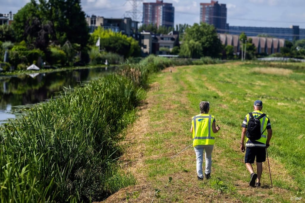 Waterschap Rijnland pakt twee dijken met scheuren aan