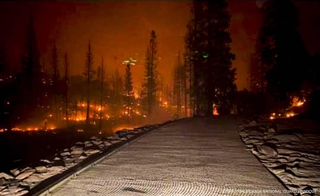 Gouverneur Californië roept noodtoestand uit vanwege bosbranden 