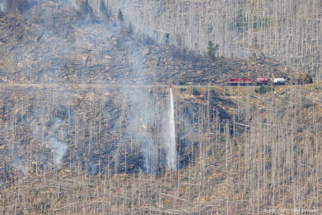 Brand in Duits Harzgebergte onder controle