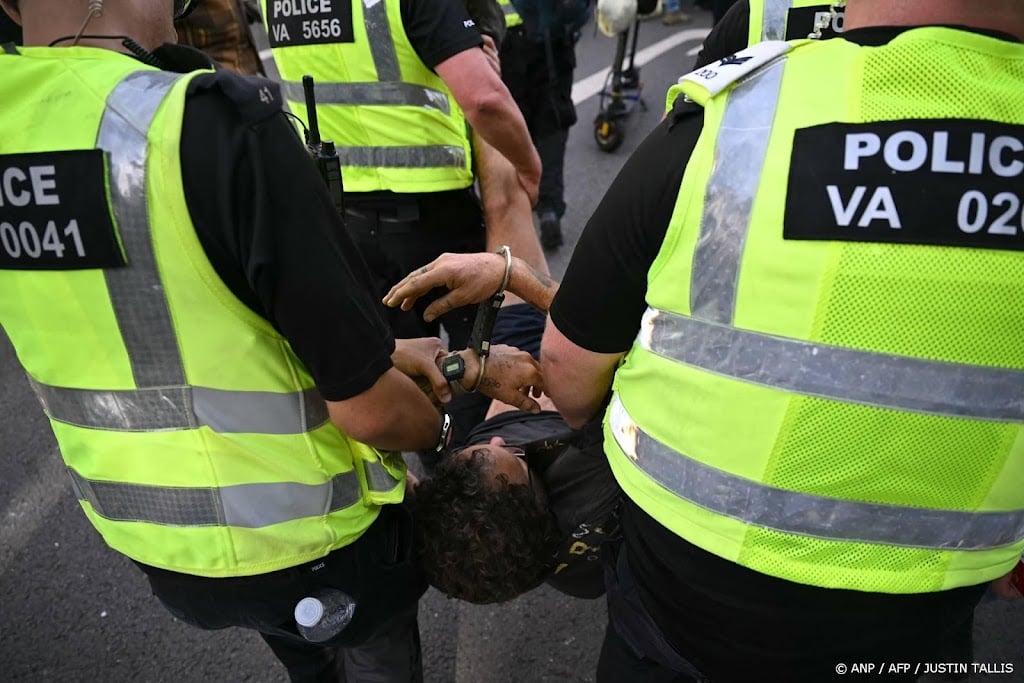 Alle in Londen opgepakte Nederlandse betogers weer vrij