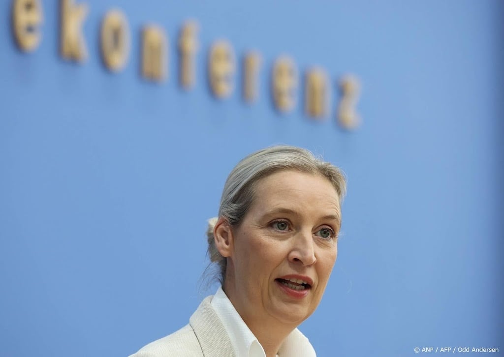 AfD wil ook 40 procent halen bij volgende landelijke verkiezing