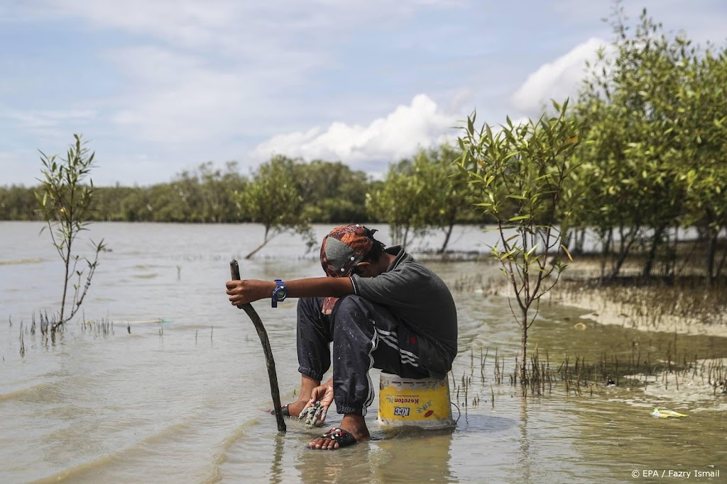 VN: verlies biodiversiteit is directe bedreiging voor de armsten