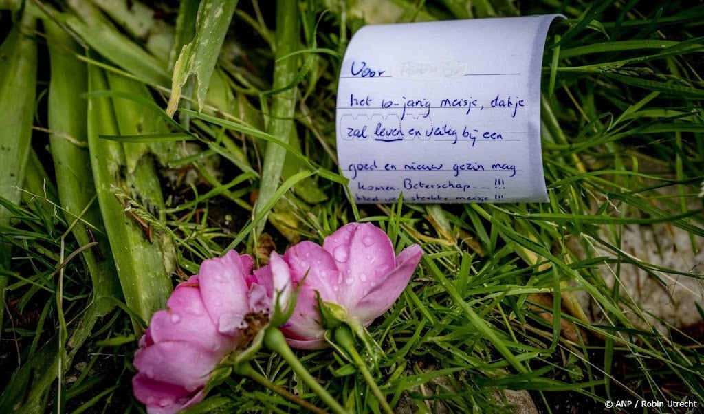Moeder: mijn zoons zijn beschadigd in Vlaardings pleeggezin