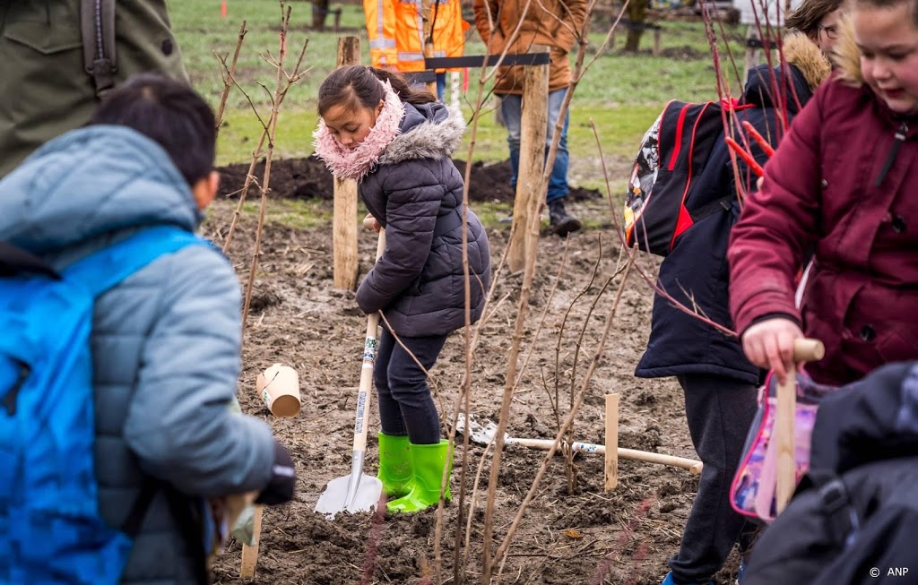 Aanplant 10 miljoen bomen van start