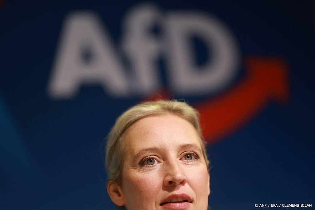 AfD kiest partijleider Weidel als kanselierskandidaat