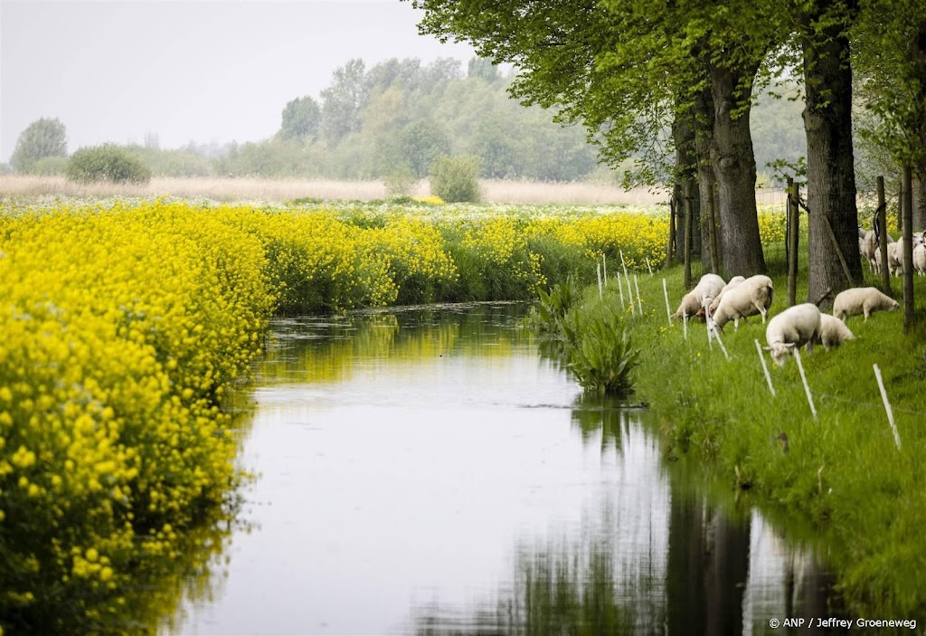 Kwart zoetwatersoorten volgens onderzoek in voortbestaan bedreigd