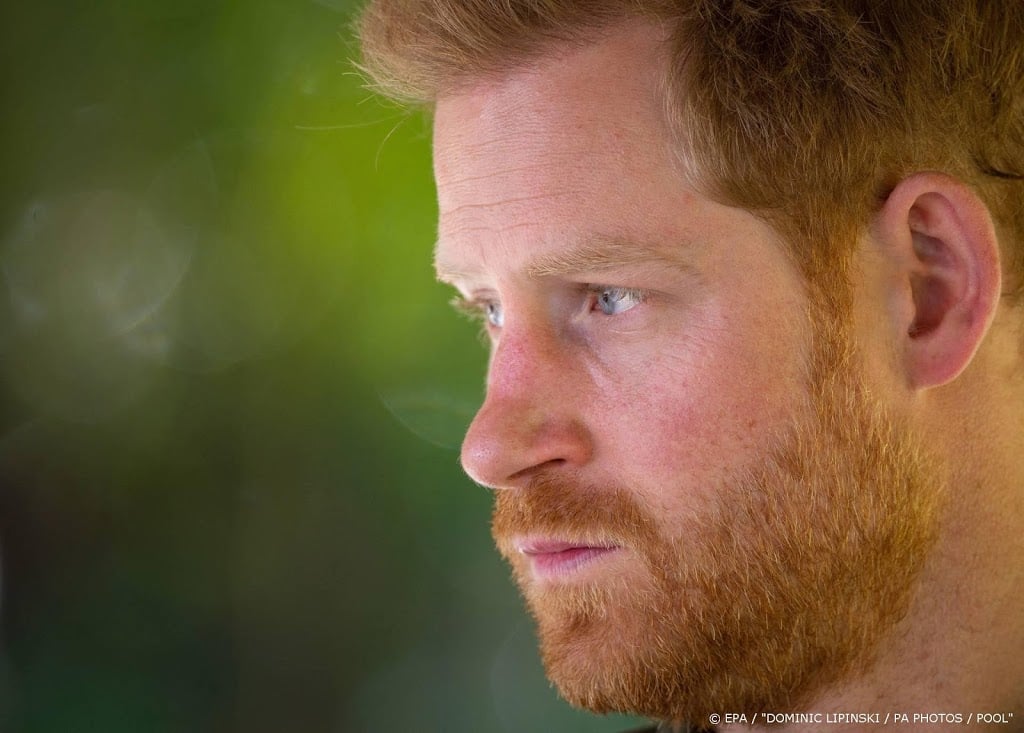 'Prins Harry al jaren in therapie om dood moeder Diana'