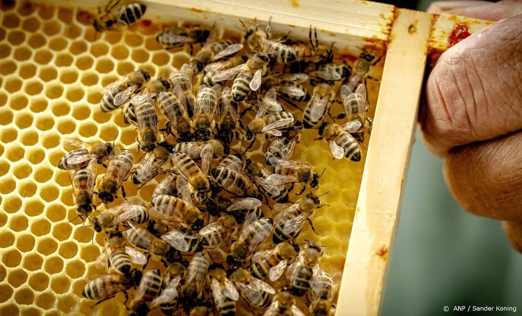 Nederlands honingbedrijf de Traay komt in Belgische handen