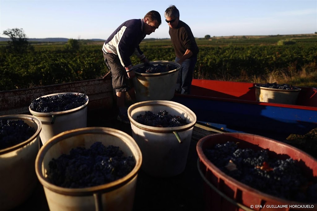 Frankrijk gaat wijnoverschot in industriële alcohol omzetten