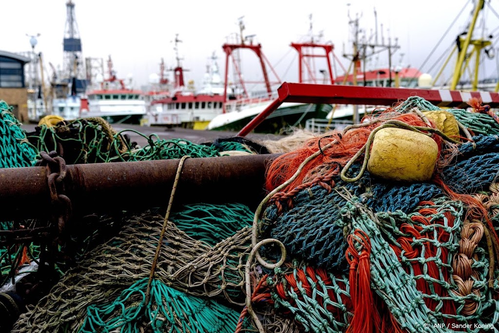 Vissersbonden: vis duurder als oorlog in Oekraïne aanhoudt
