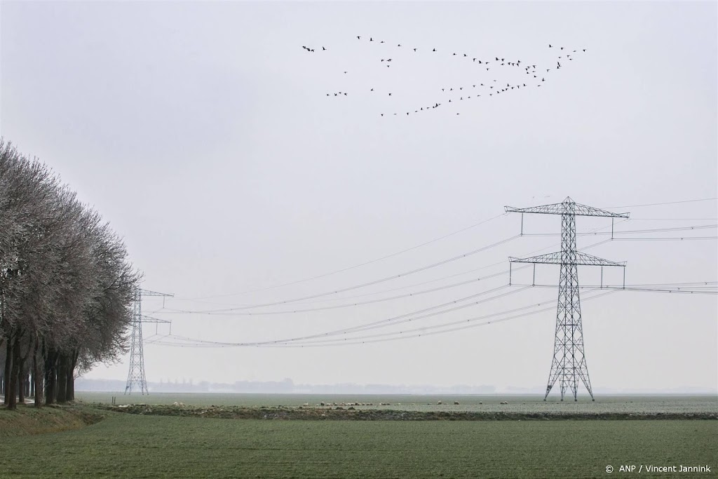 Netbeheerder Alliander kan stijgende vraag elektriciteit niet aan