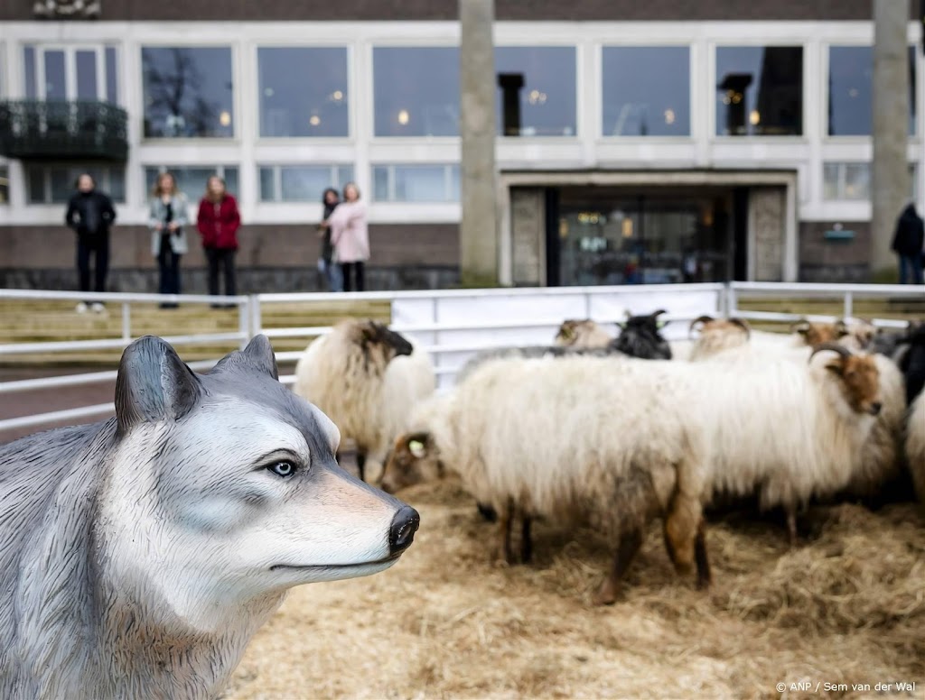 LTO verwelkomt Europese stap in verlaging beschermingsstatus wolf
