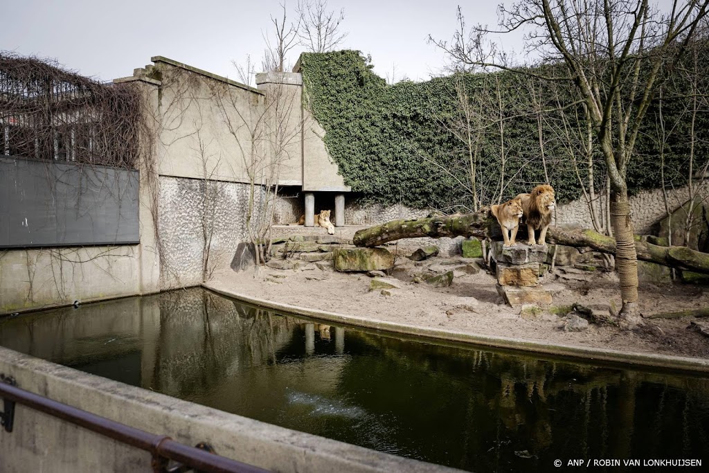 Ouwehands trapt proefopening voor dierentuinen af