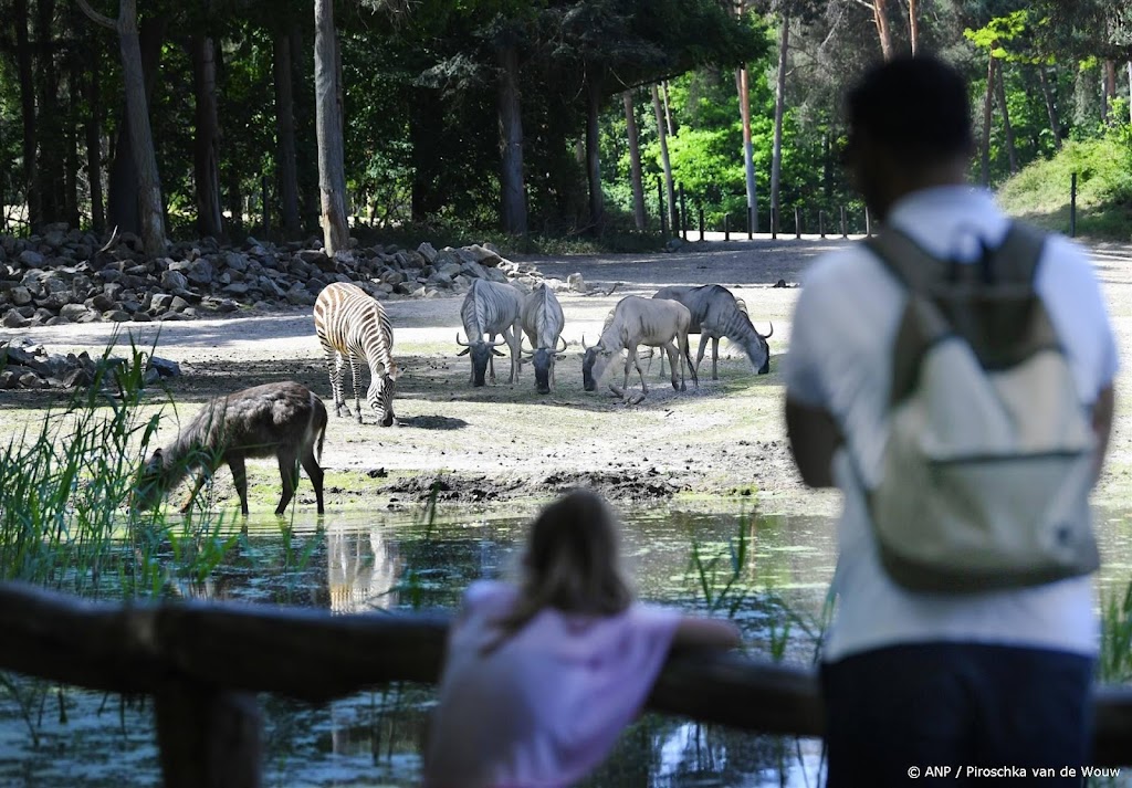  Burgers' Zoo neemt Limburgse dierentuin GaiaZOO over