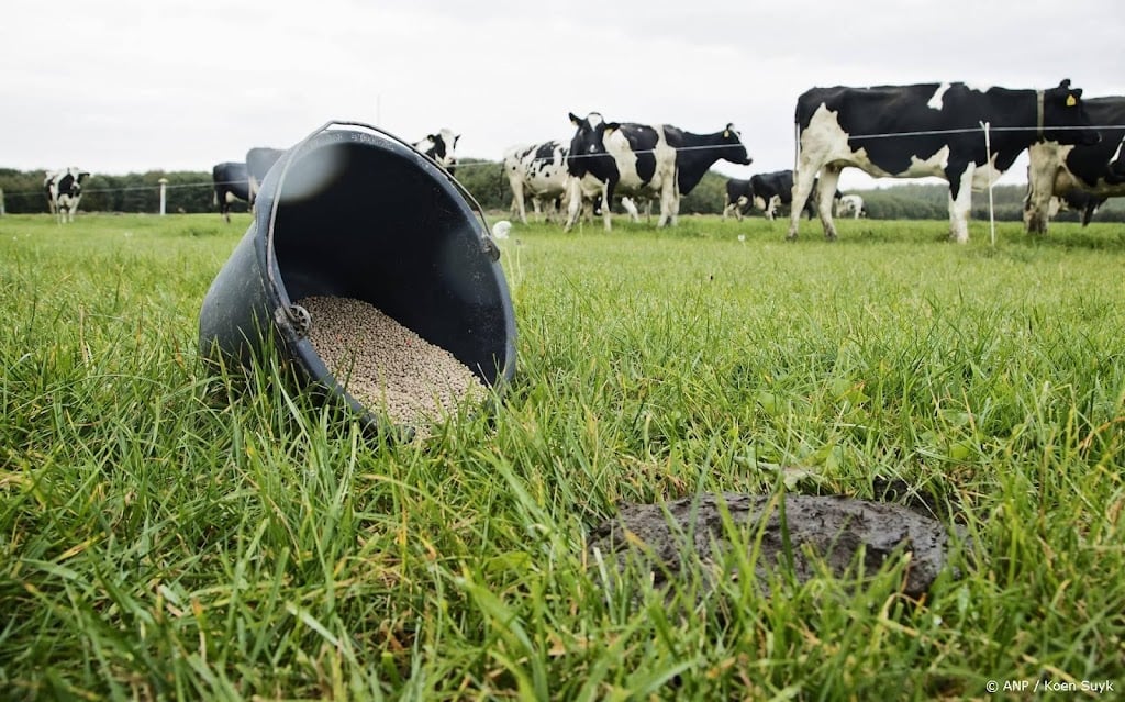 Kunstmestproducent Yara heeft last van actie XR in Vlaardingen