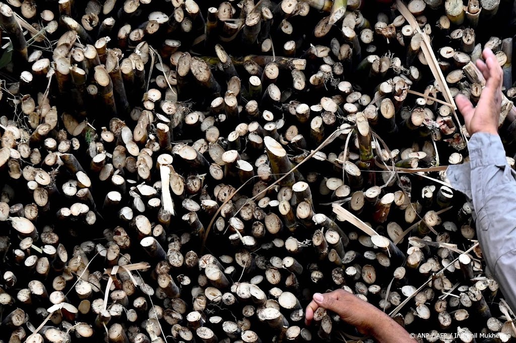 India gaat suikerexport langer beperken, melden bronnen