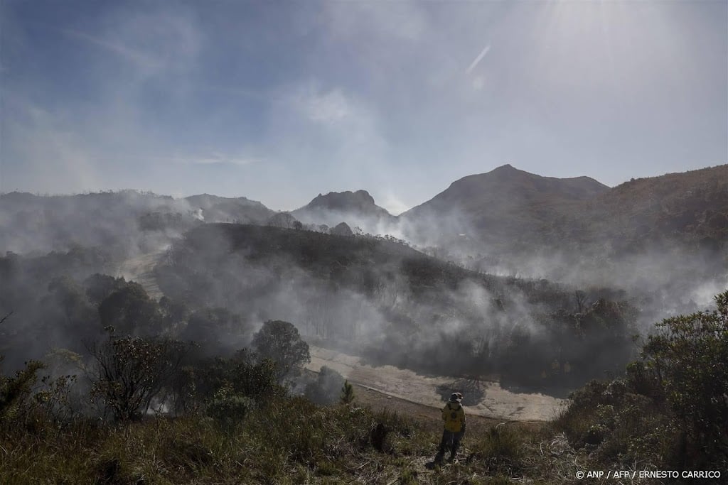 Onderzoek: klimaatverandering verergerde bosbranden in Brazilië