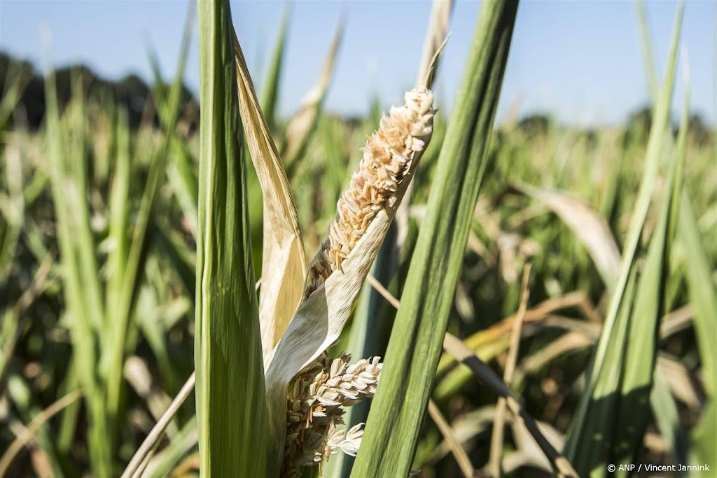 Boeren vragen uitstel mest uitrijden en maisoogst om slecht weer