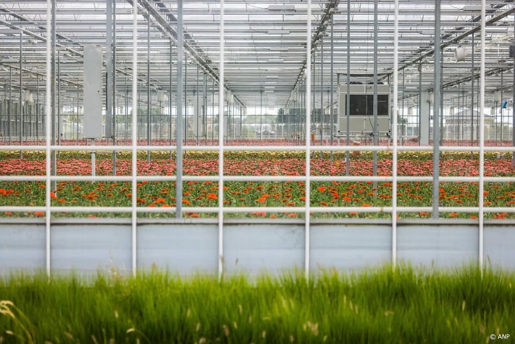 Delfland zoekt water voor met droogte kampende glastuinbouw