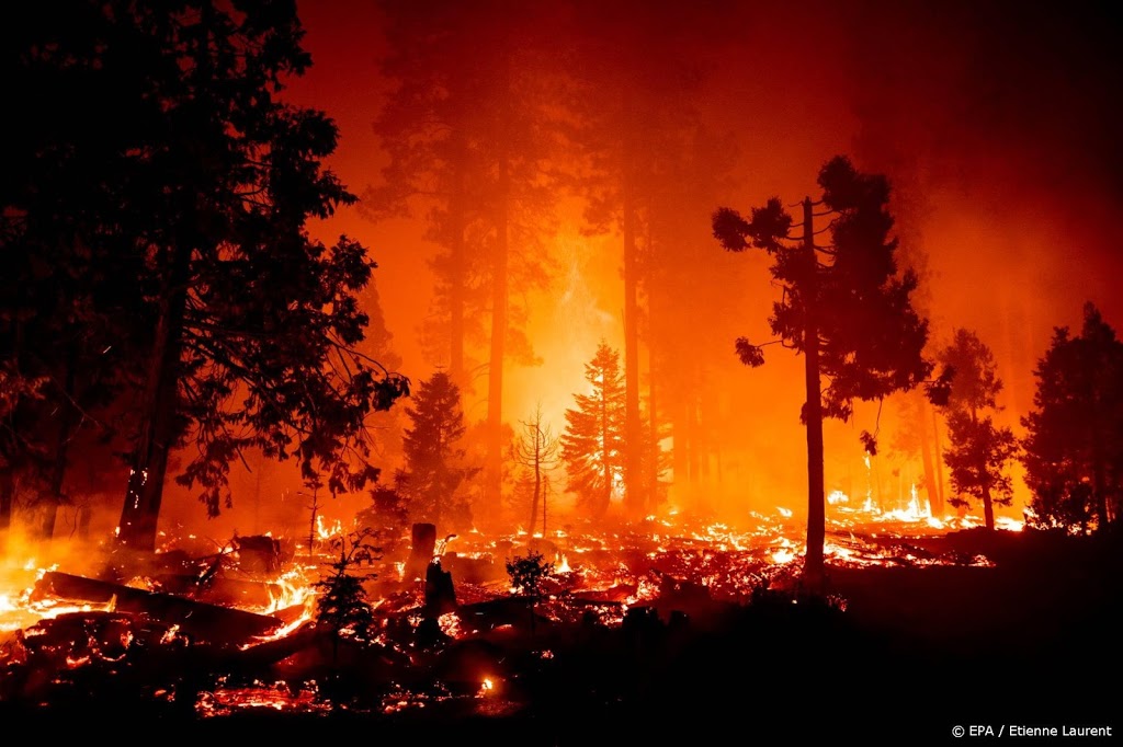 'Grootste gebied sinds 1987 afgebrand in Californië'