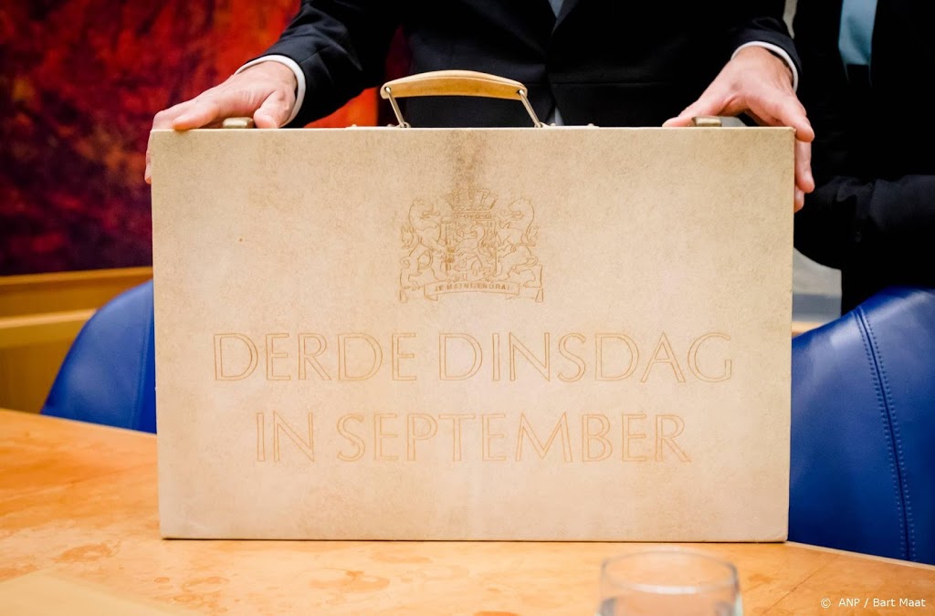 'Prinsjesdagstukken geven sprankje hoop in crisistijd'