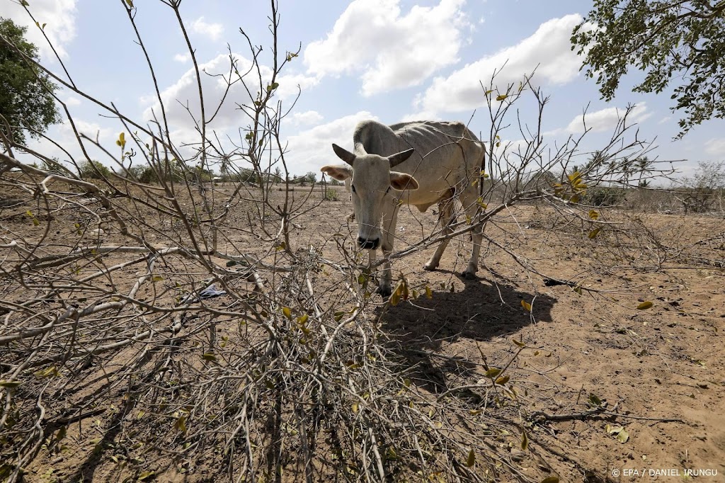 WMO: Afrikaanse landen passen klimaatplannen aan op toekomst