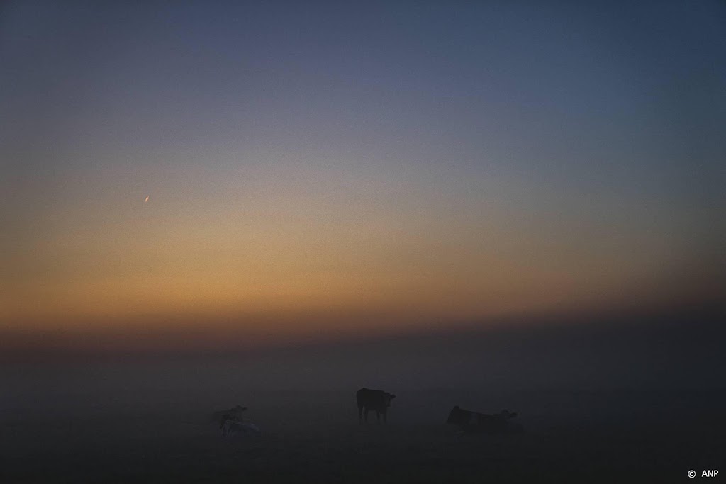 Dichte mist in grote delen van Nederland