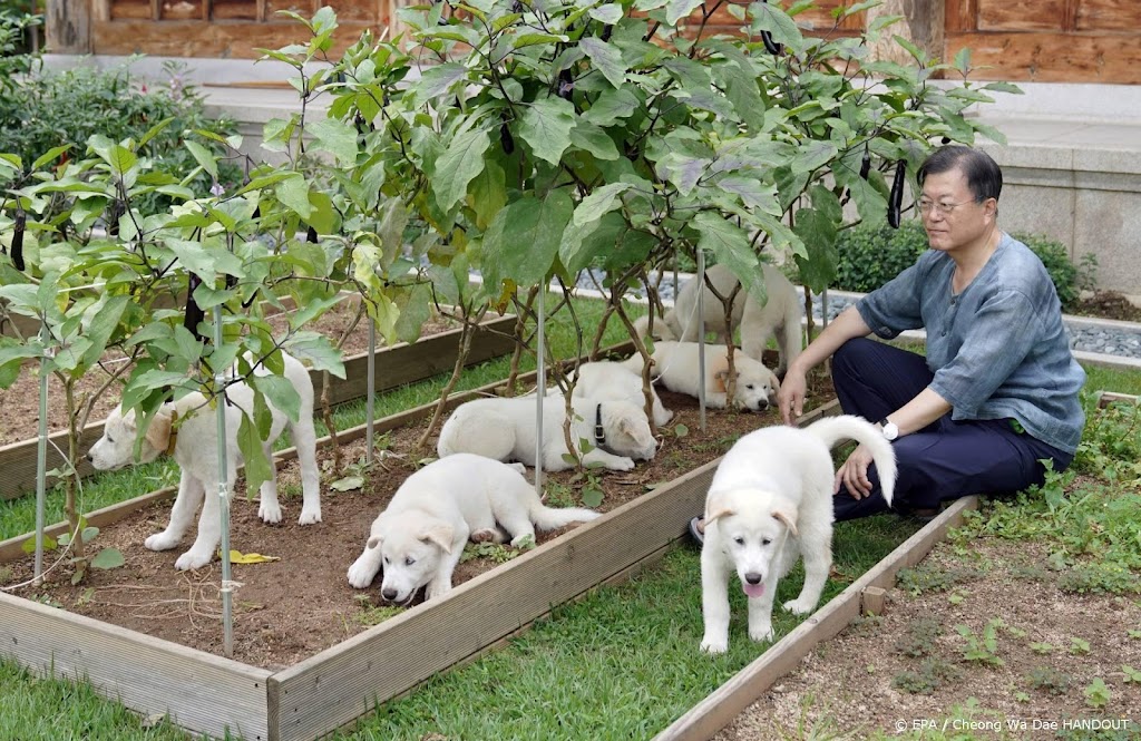 Zuid-Koreaanse oud-leider geeft honden van Kim Jong-un op