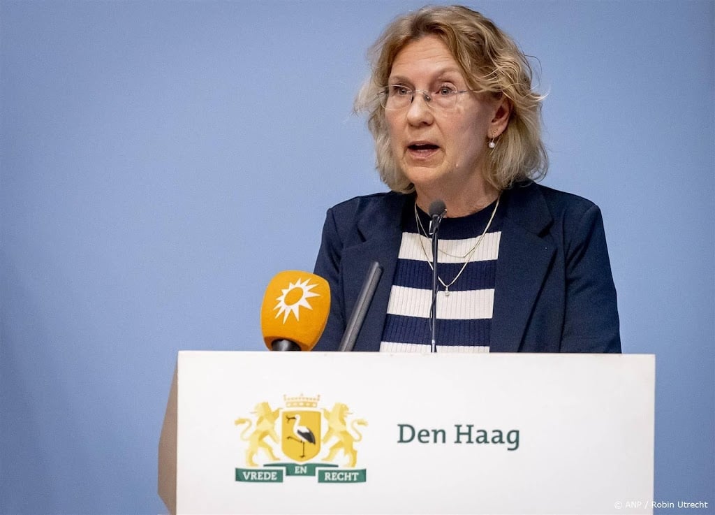 Verband uitgebrande auto en explosies Den Haag wordt onderzocht