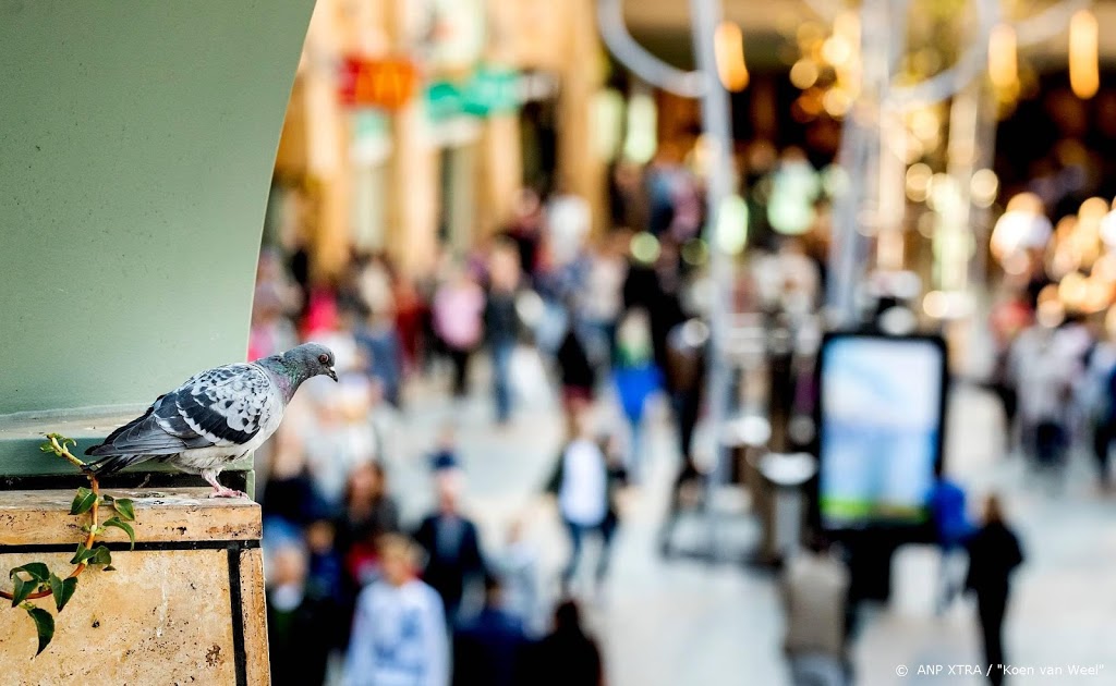 CBS bezoekt geen winkels meer om inflatie te meten
