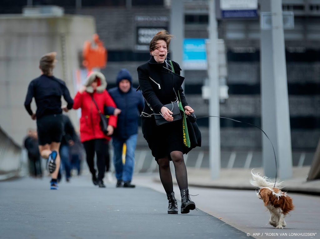 Overlast en schade door storm