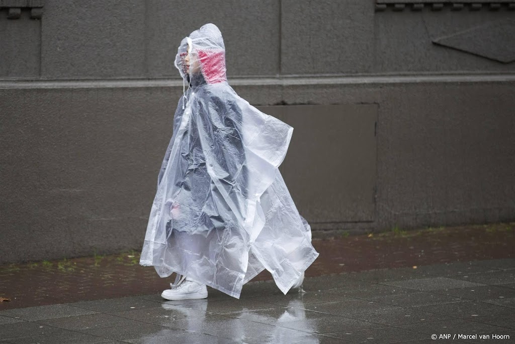 Tweedaags Karnaval Festival in Moergestel afgelast door regen