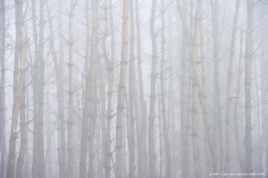 Ook maandagochtend plaatselijk dichte mist in noordwesten
