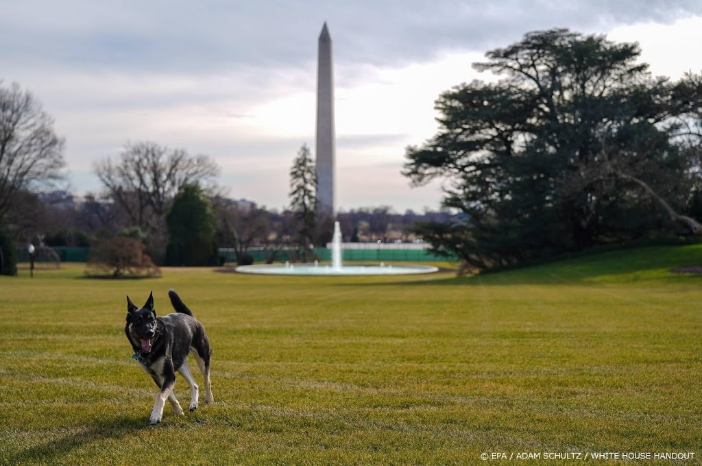 Bijtende hond van Biden keert gewoon terug in Witte Huis
