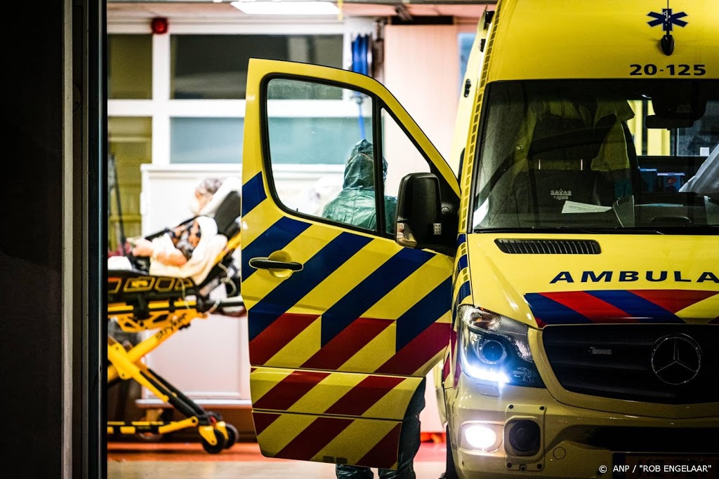 Meisje (6) ernstig gewond door aanval twee honden in Kaatsheuvel