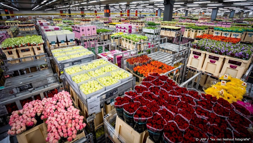 Bloemen- en plantenexport daalde sterk door coronacrisis