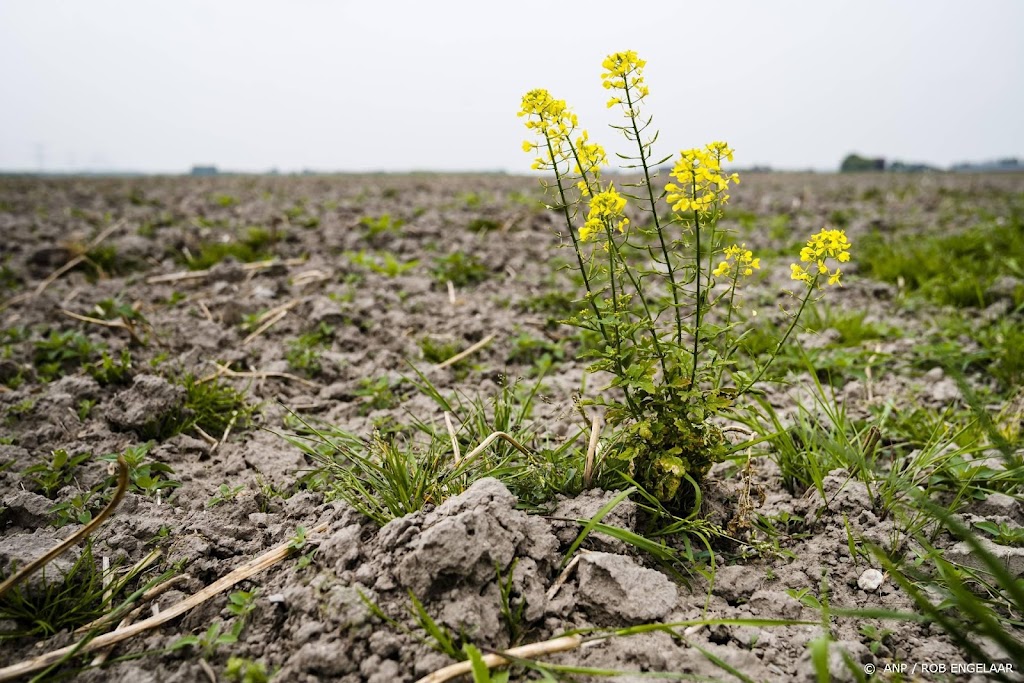 Waterbeheerders nemen meer maatregelen tegen droogte