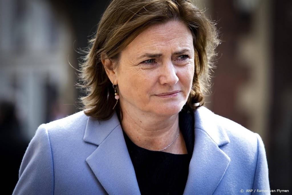 Minister noemt vechtpartij bij Turks stembureau onacceptabel