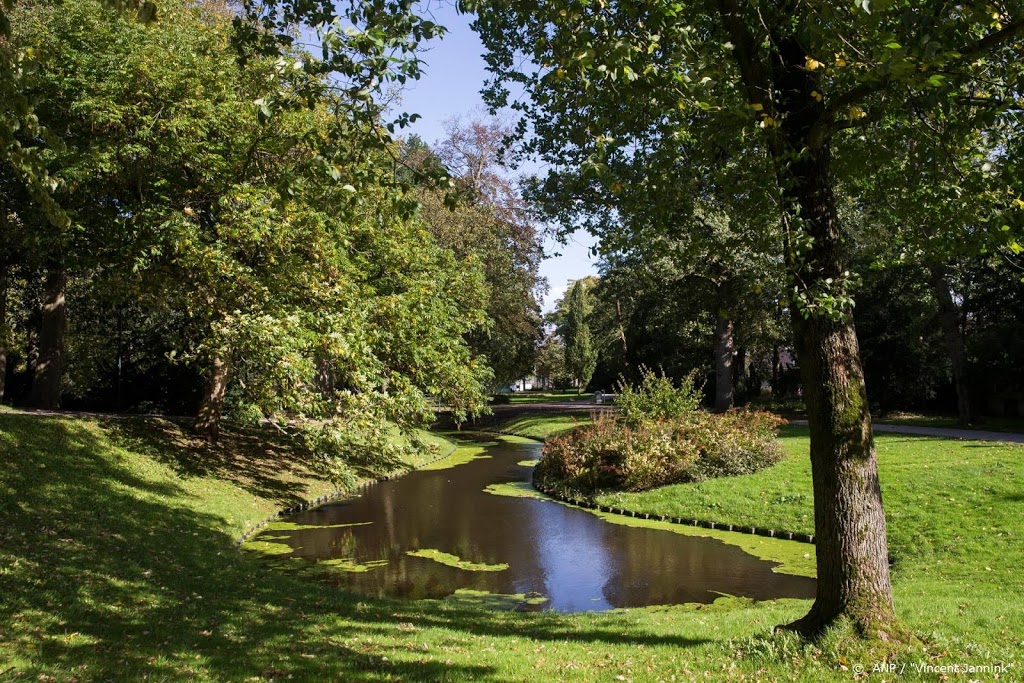 Kamer positief over plannen voor meer bomen