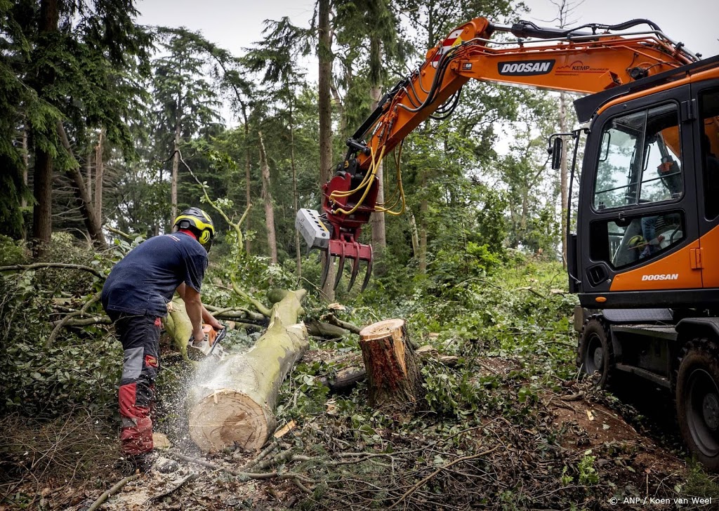 Dartheide bij Leersum weer gedeeltelijk open